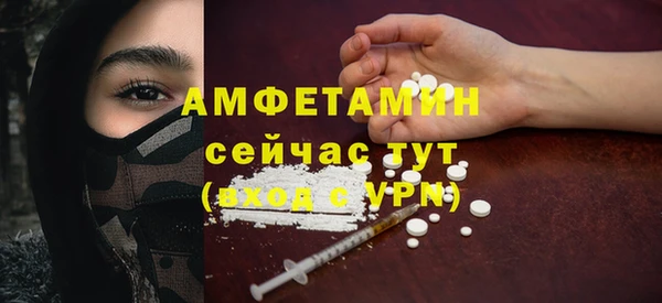 индика Осташков