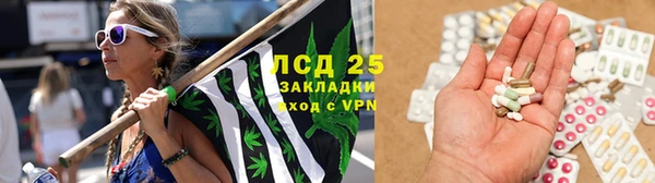 прущие грибы Балабаново
