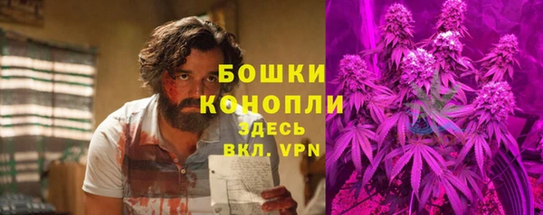прущие грибы Балабаново