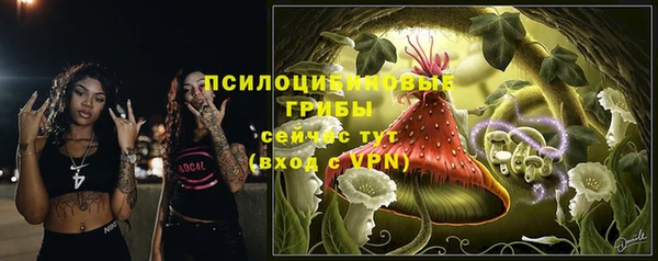 кокс Армянск