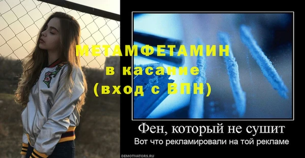 прущие грибы Балабаново