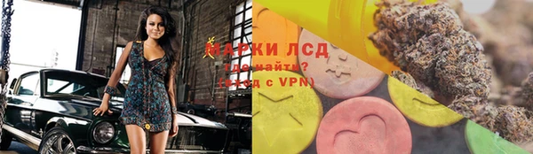прущие грибы Балабаново