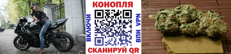 Бошки Шишки гибрид  Дыгулыбгей 